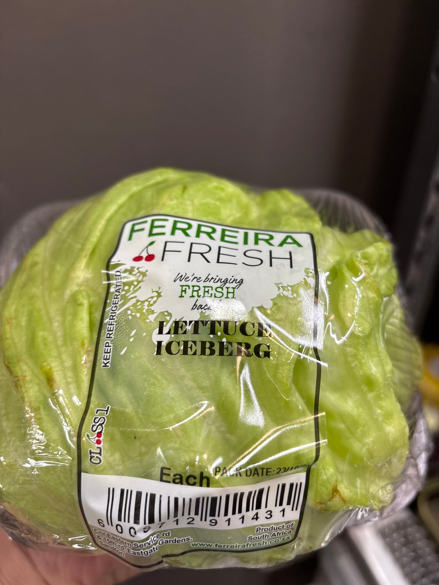 Ferreira fresh lettuce iceberg 