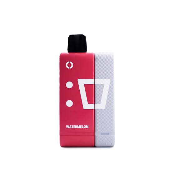 ELFBAR EW9000 Watermelon 5% Rechargeable Disposable Vape Pod Kit 16ml