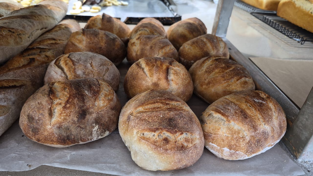Ciabatta Rolls