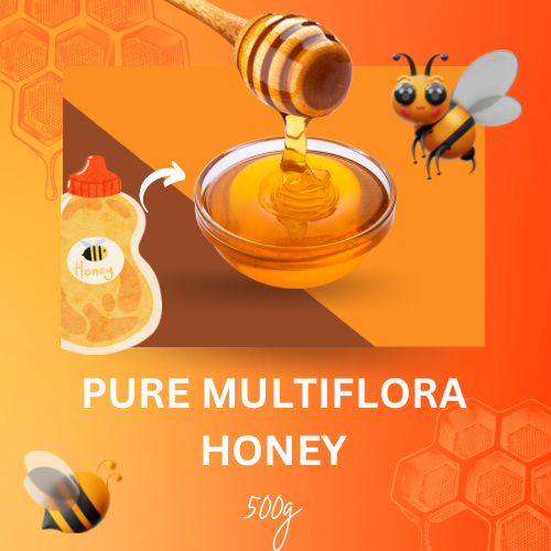 Honey Pure Multiflora Squeeze 500g
