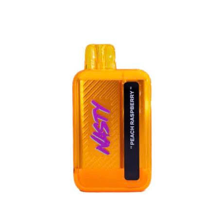 Nasty Rechargeable Bar 9000 puff 50mg - Peach Raspberry