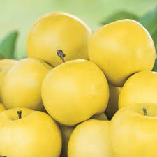 Apples yellow 6s